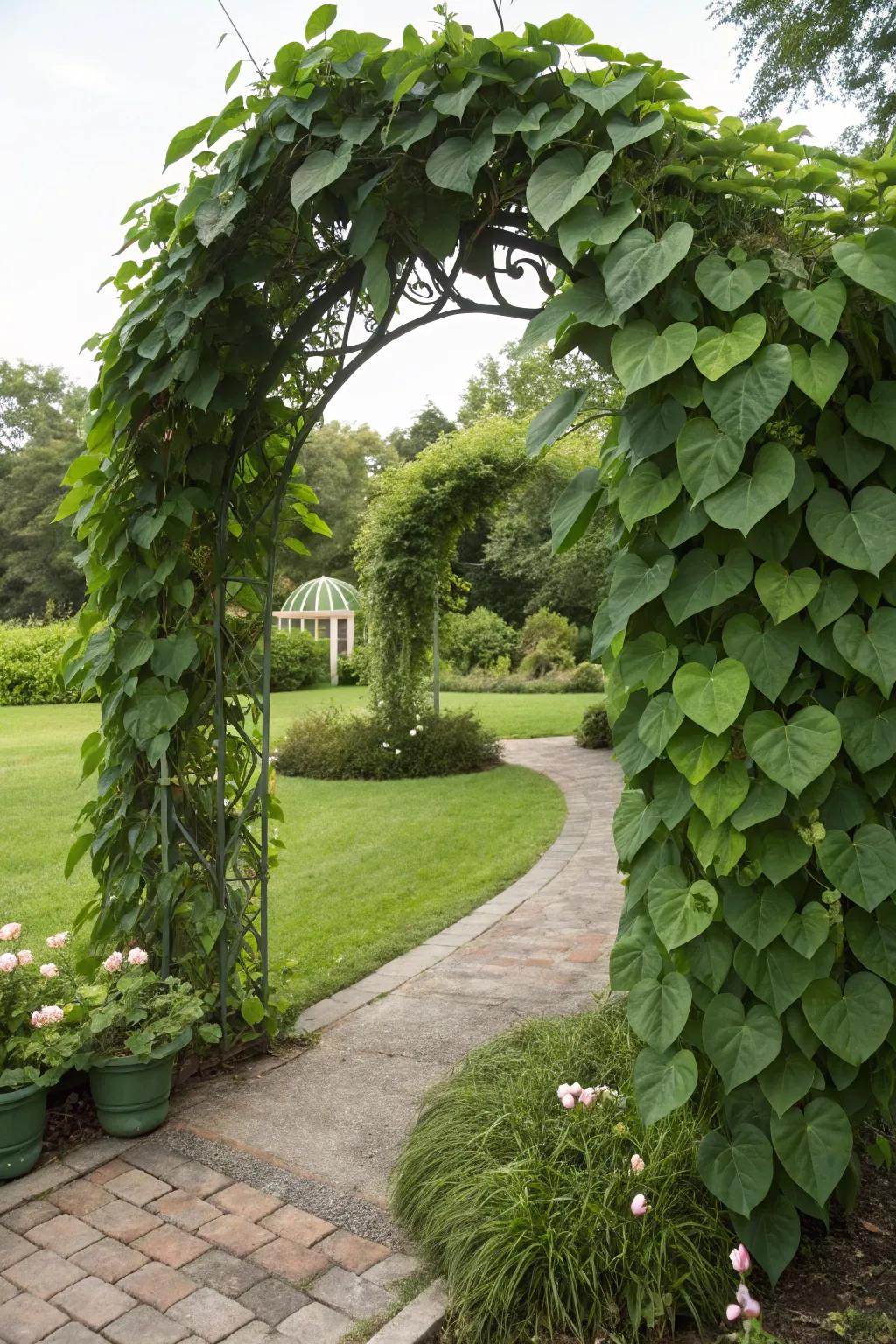 Create a lush garden feature with a philodendron trellis.