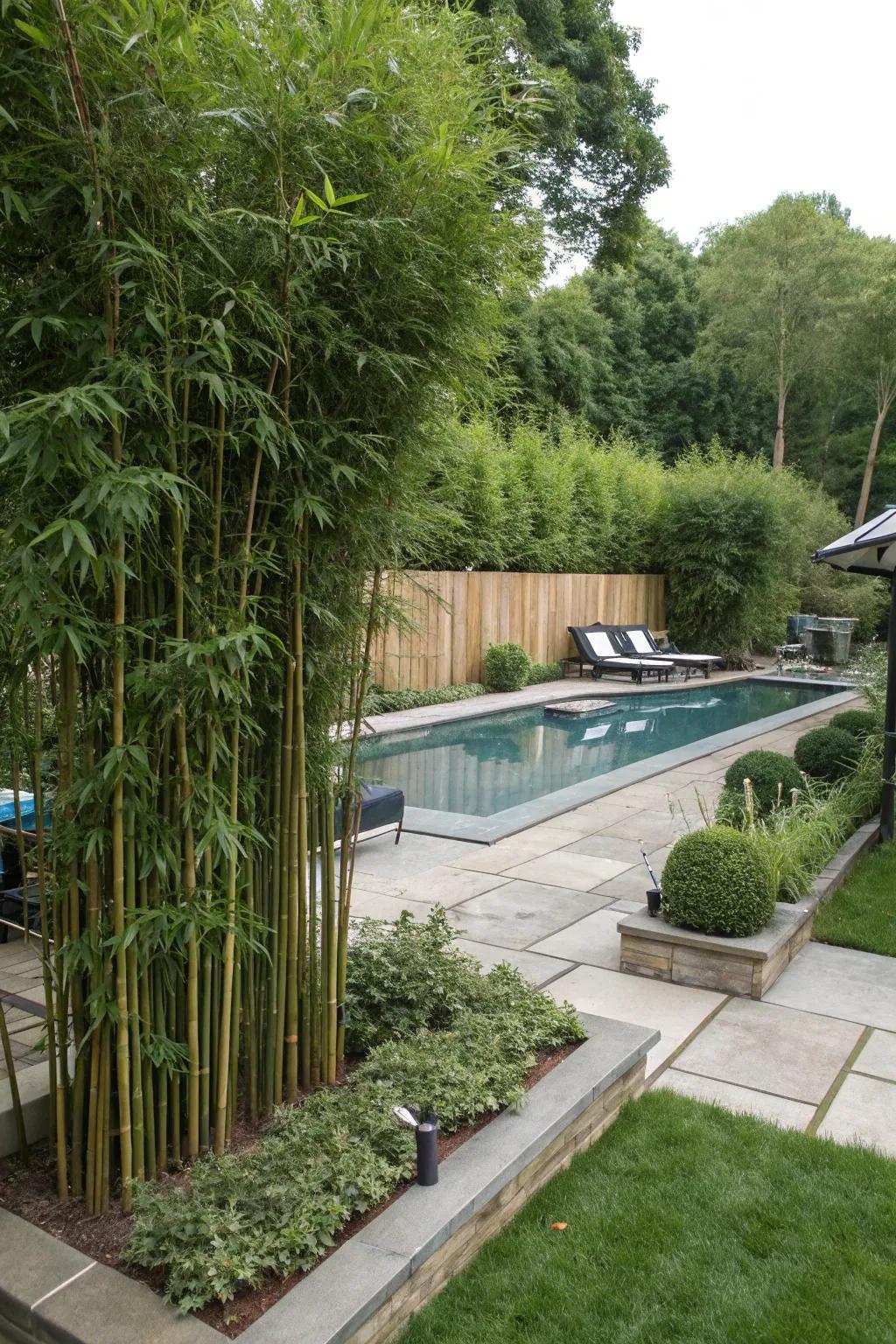 Tall plants provide an eco-friendly cover for pool equipment.