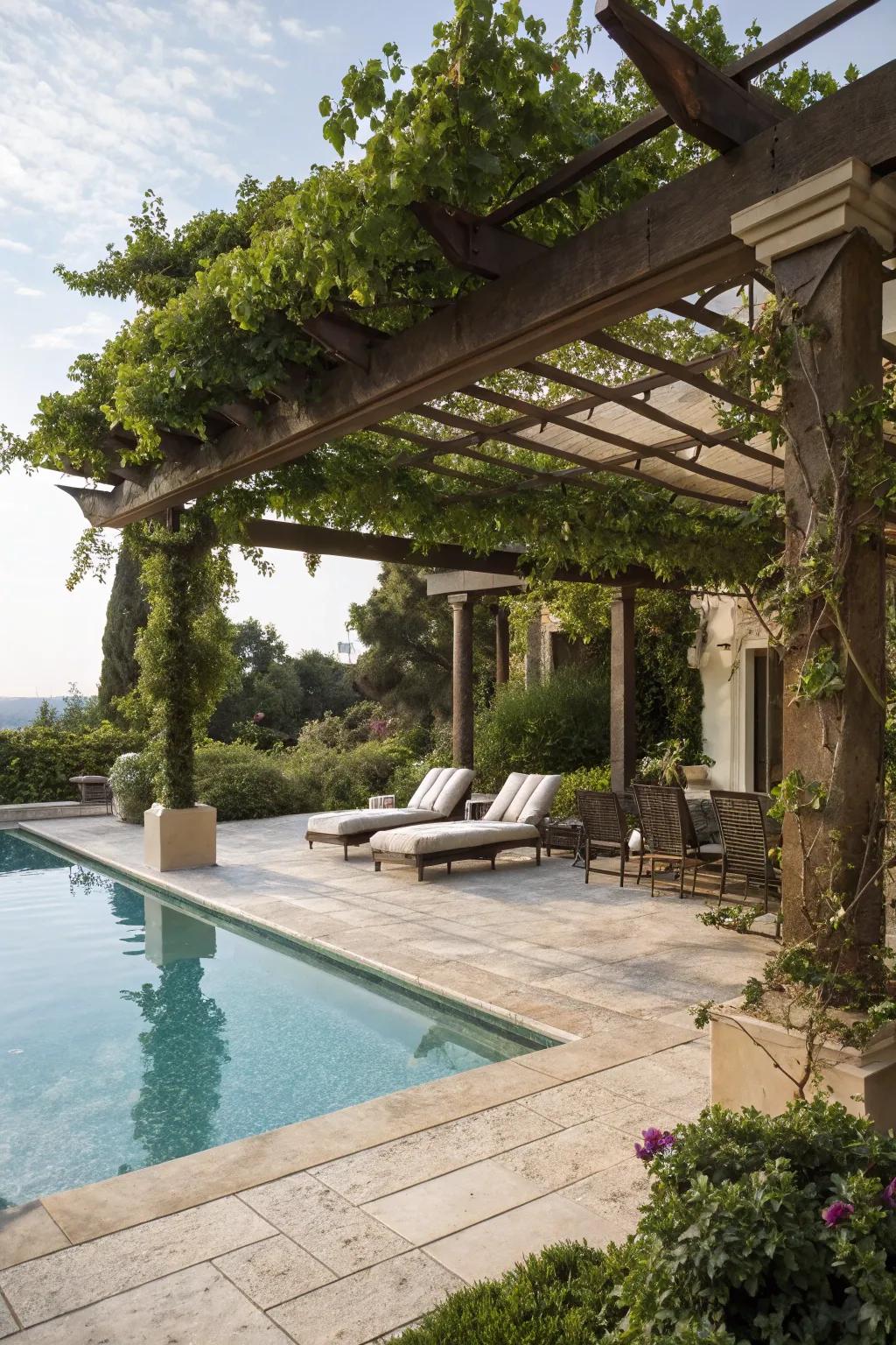 A stylish pergola adds elegance and defines the space.