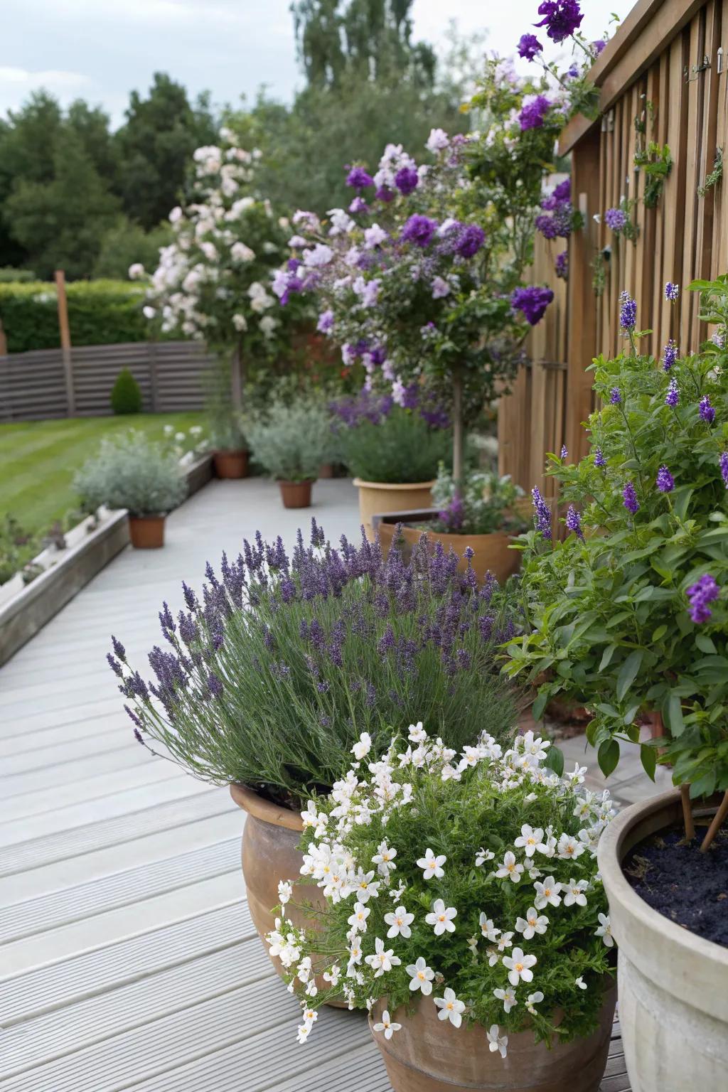 Fragrant plants create an inviting atmosphere with their natural scents.