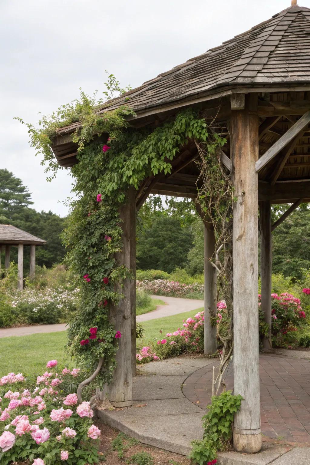 Climbing plants add a lush and natural element to the structure.
