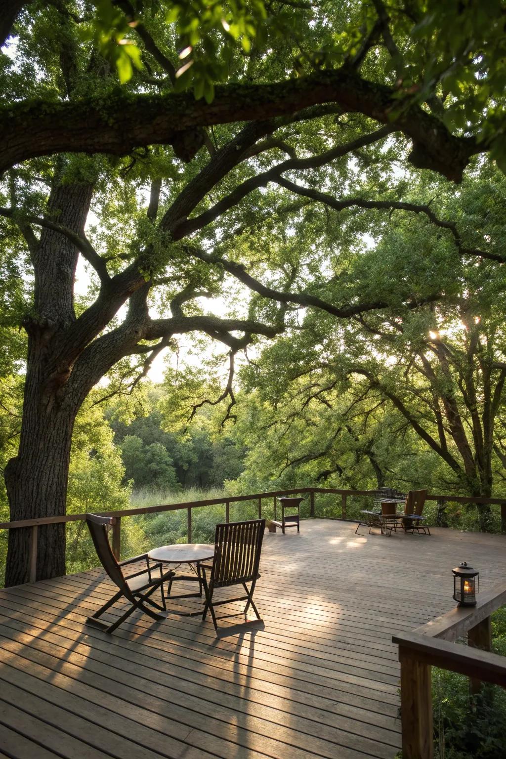 Trees create a natural canopy, offering shade and serenity.