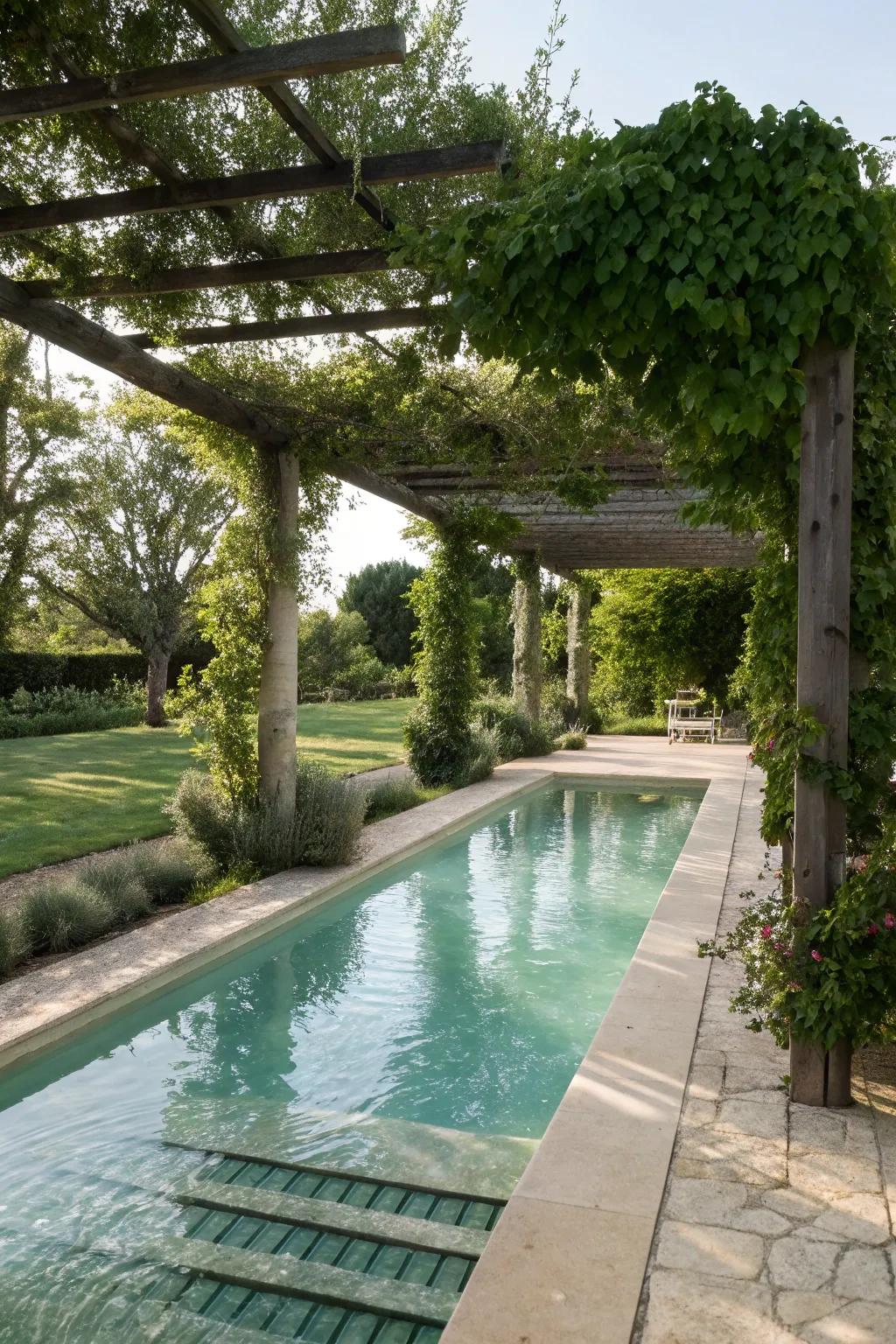 A shallow pool with a pergola for stylish shade.