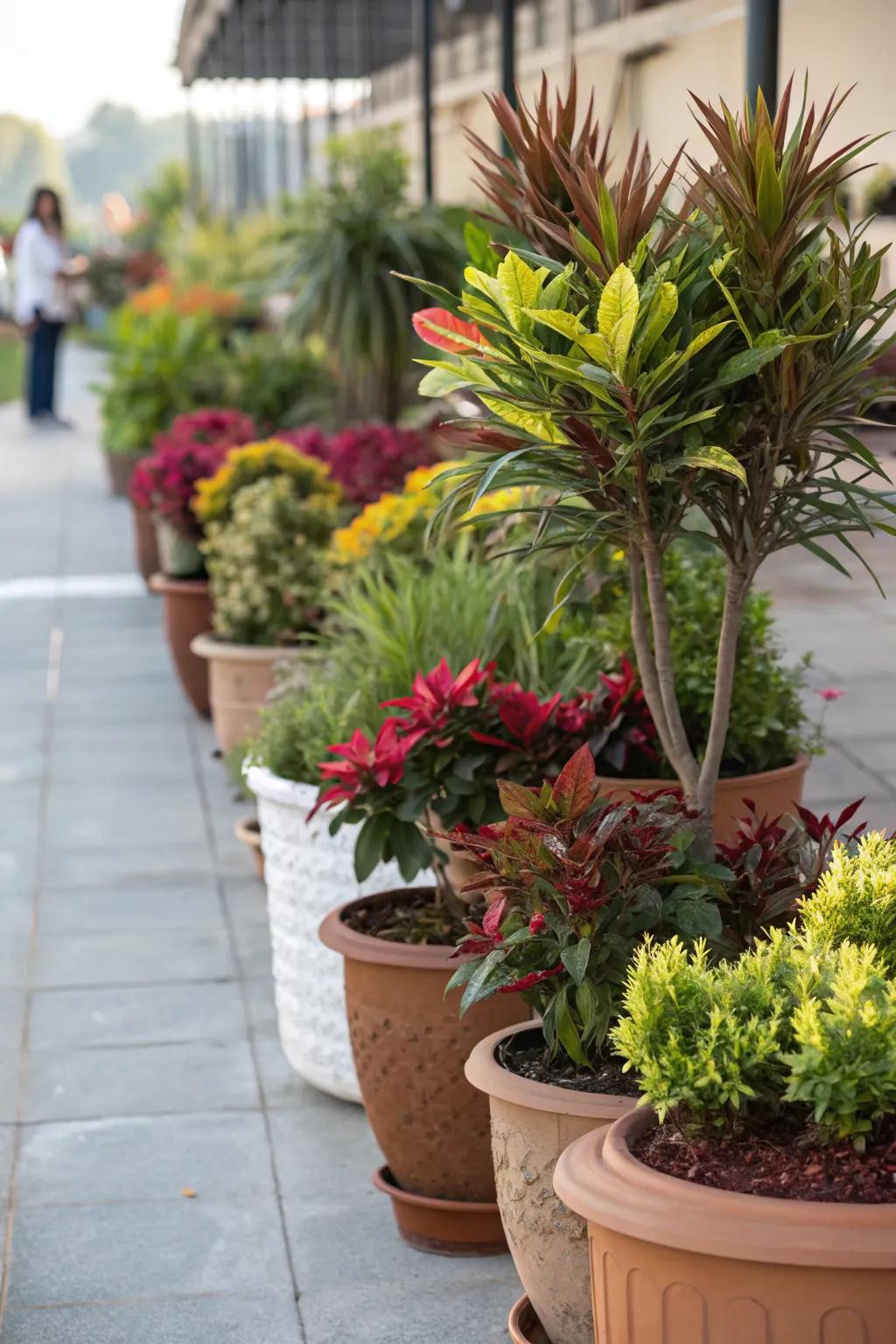 Potted plants add layers and depth to any garden.