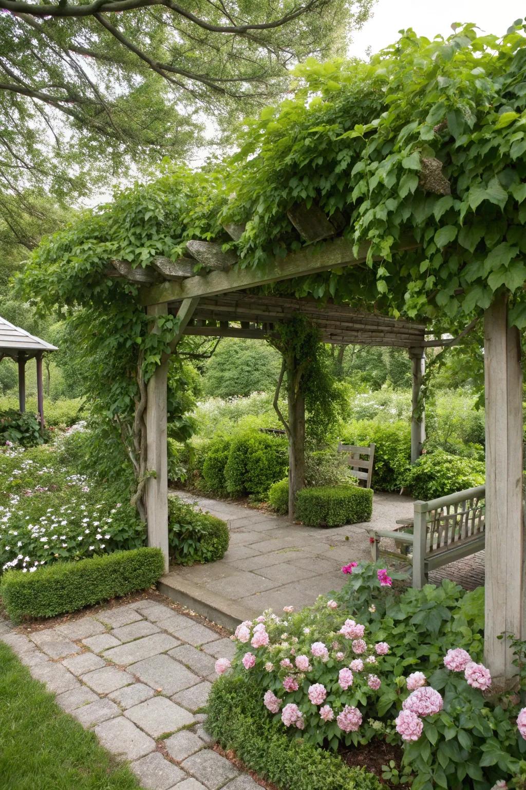 DIY pergolas add structure and charm