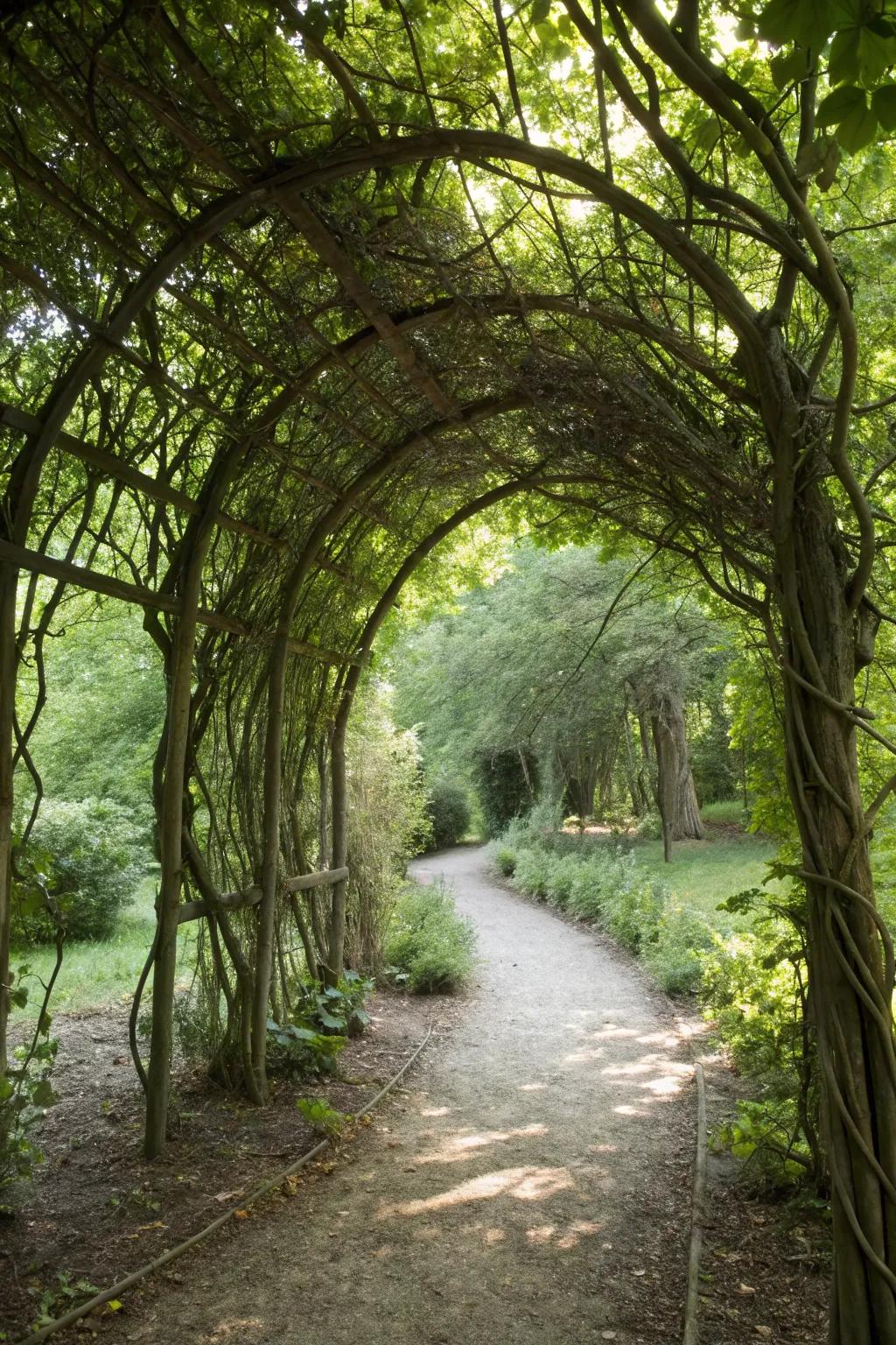 A natural archway welcomes visitors to the woodland garden.