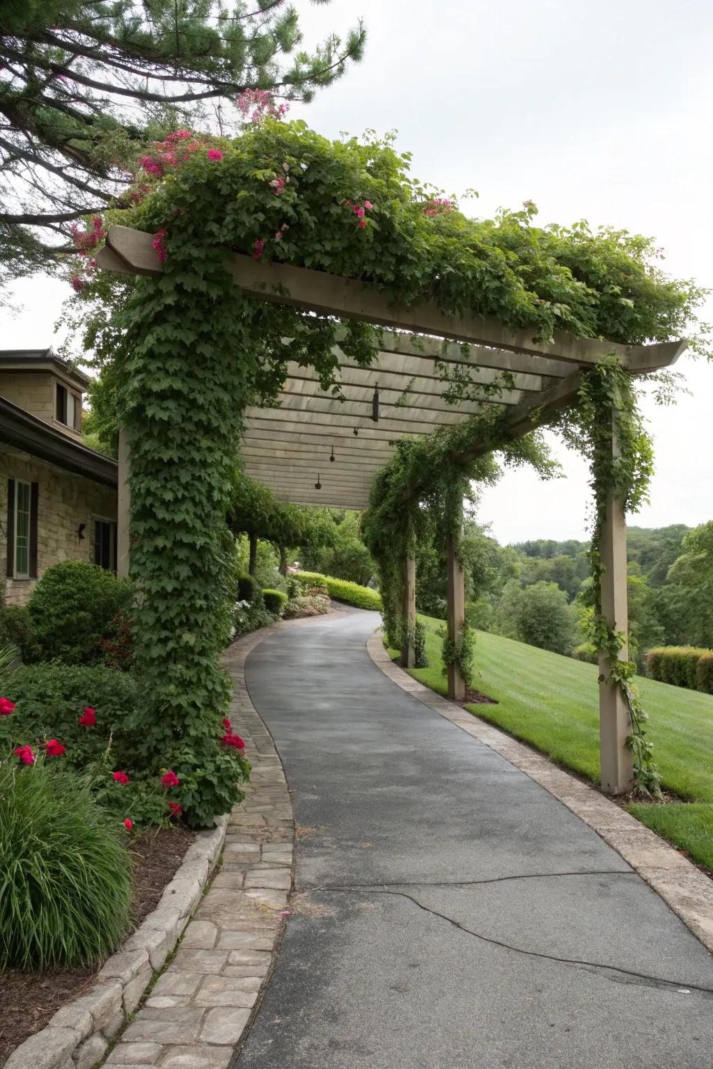 Pergolas offer shade and a touch of elegance.
