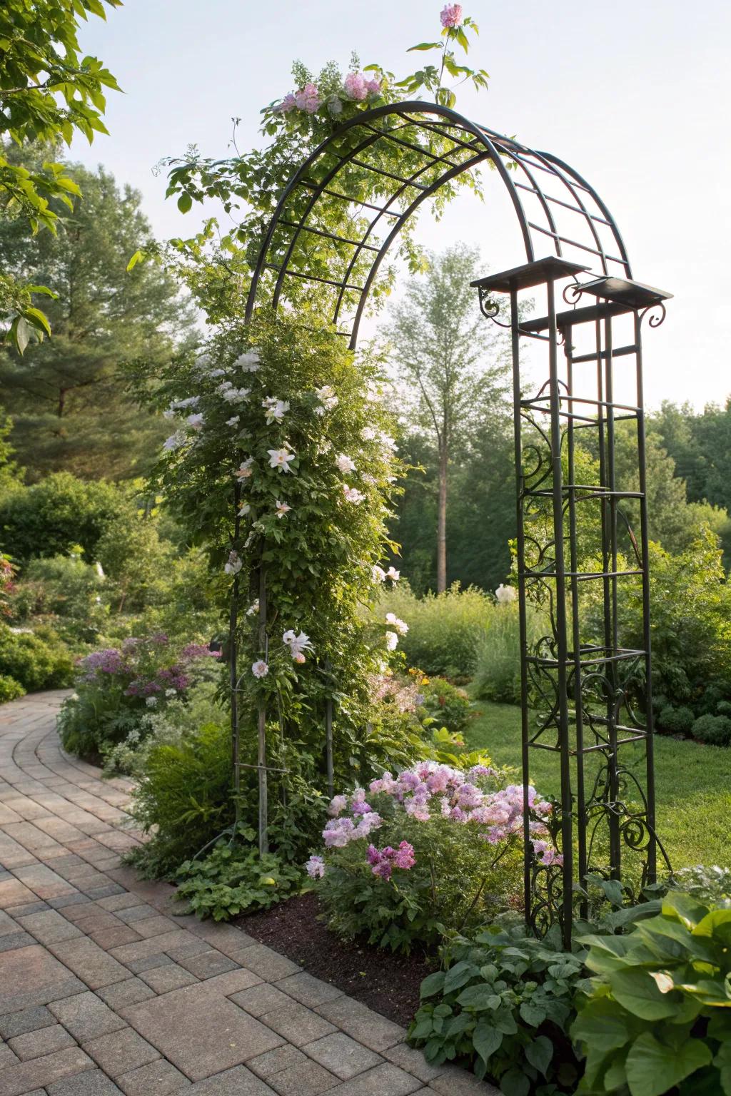 A wrought iron trellis adorned with clematis flowers in a garden.