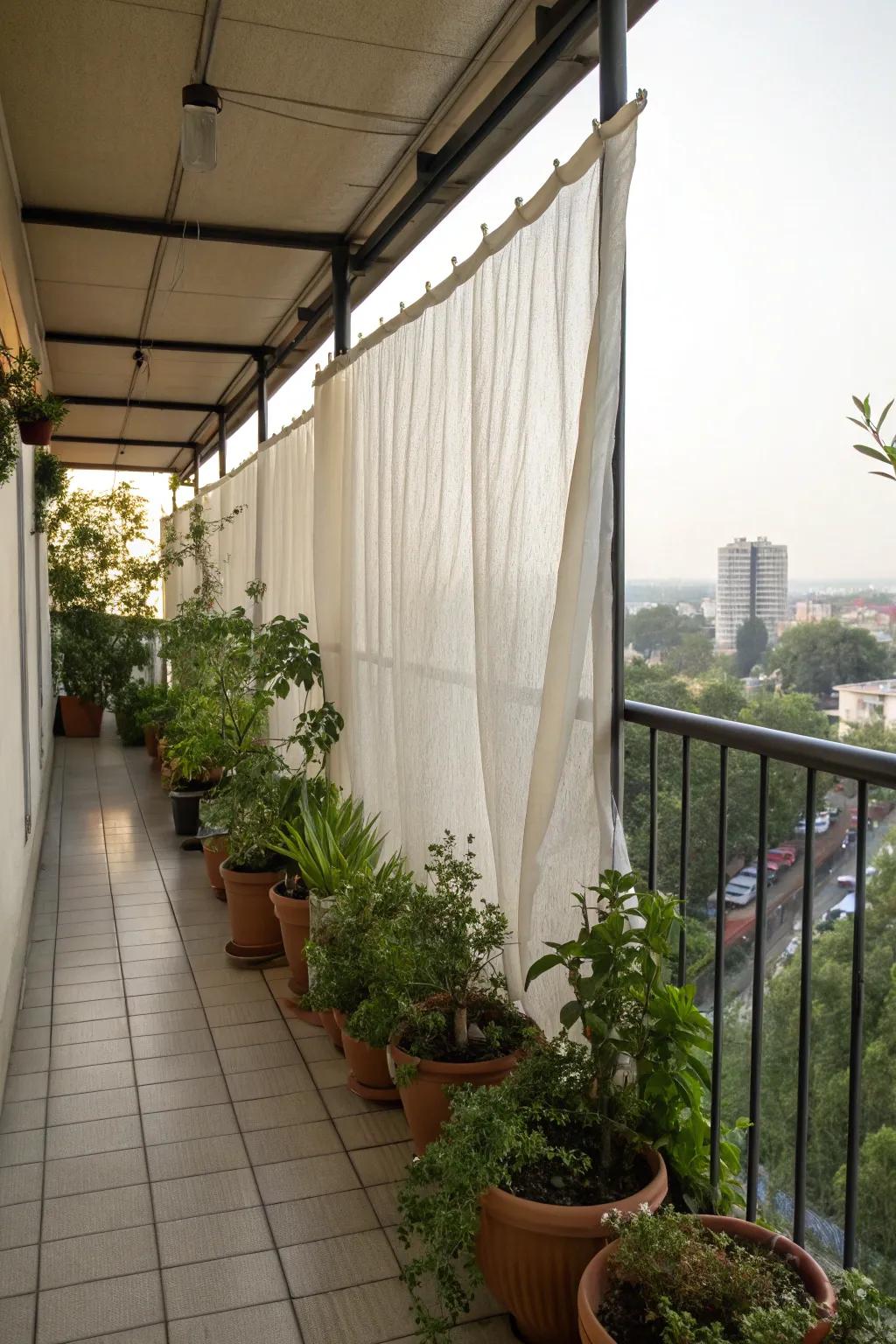 Protect fragile plants with effective windbreaks.