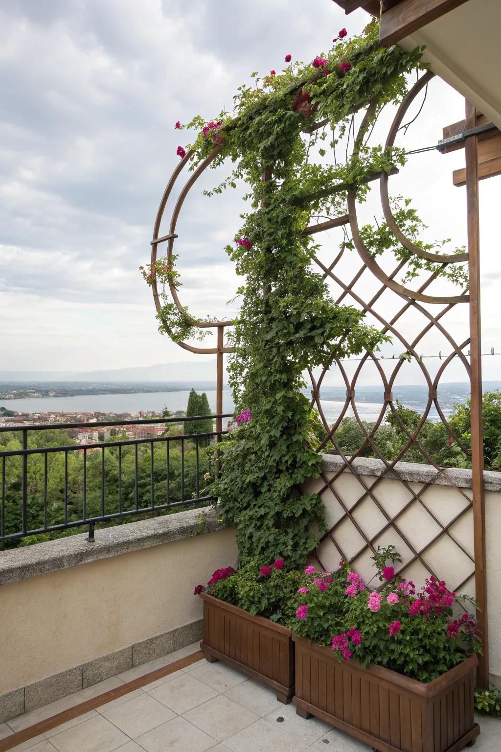 Artistic trellises create unique and striking plant supports.