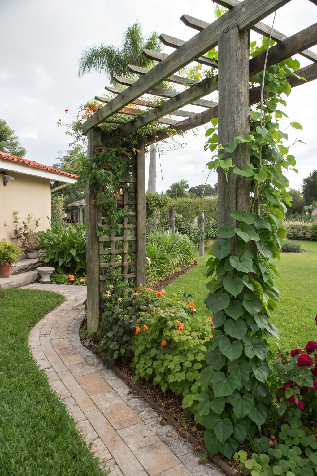 Climbing vines add vertical interest and fragrance to a garden.