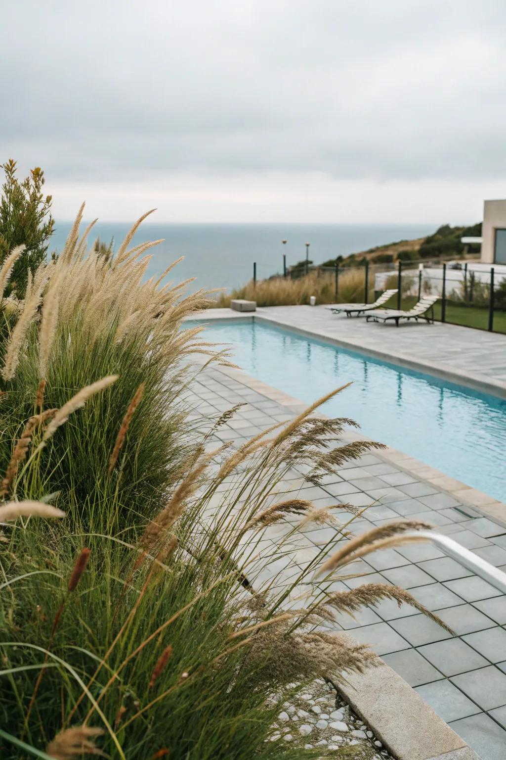 Ornamental grasses add texture and a calming movement to your garden.