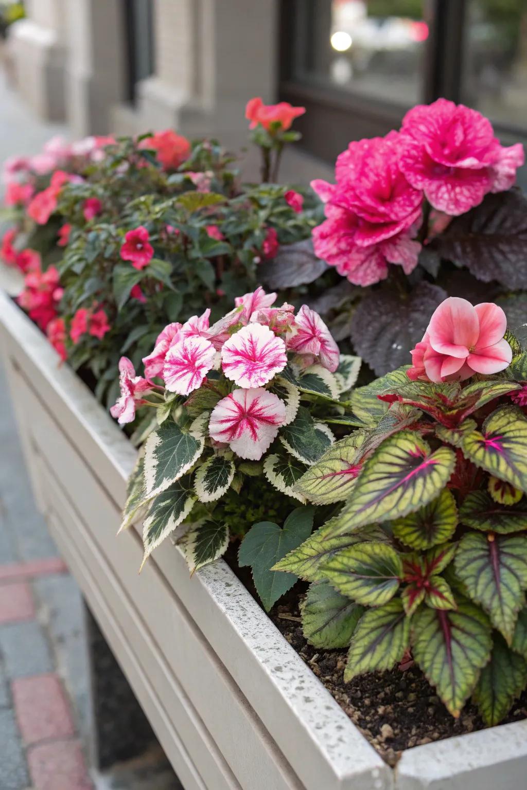 Layered petals create a rich, multi-dimensional effect in flower boxes.