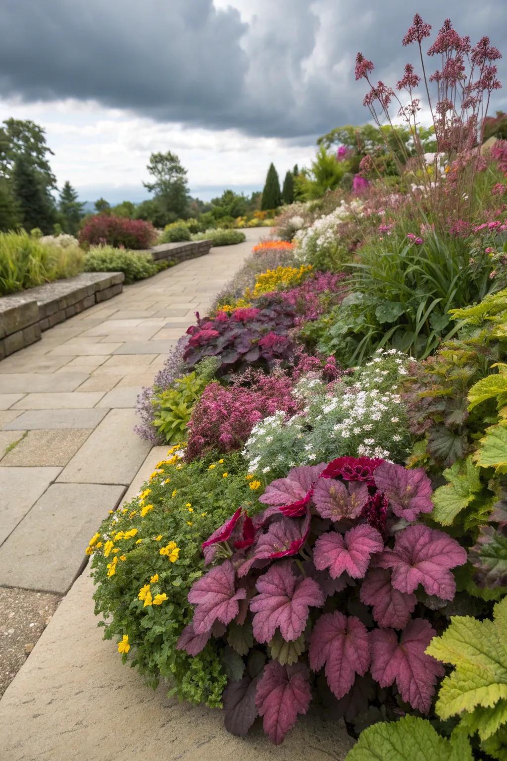 Coral Bells adding vibrant foliage to a garden border.