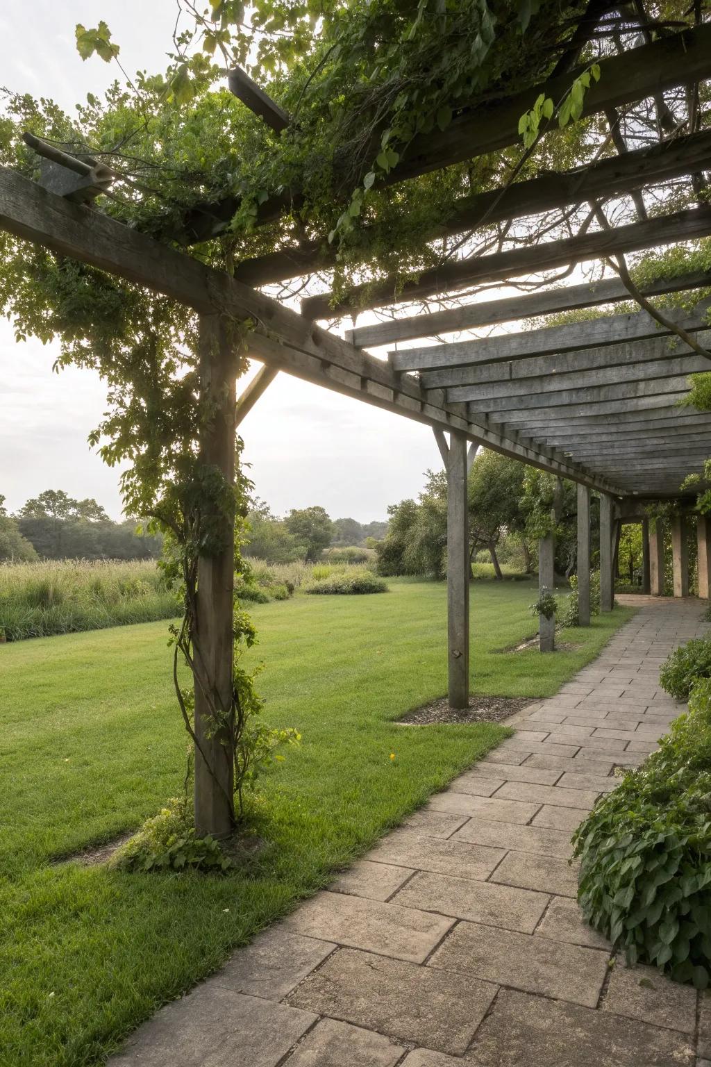 A pergola provides shade and style to your patio.