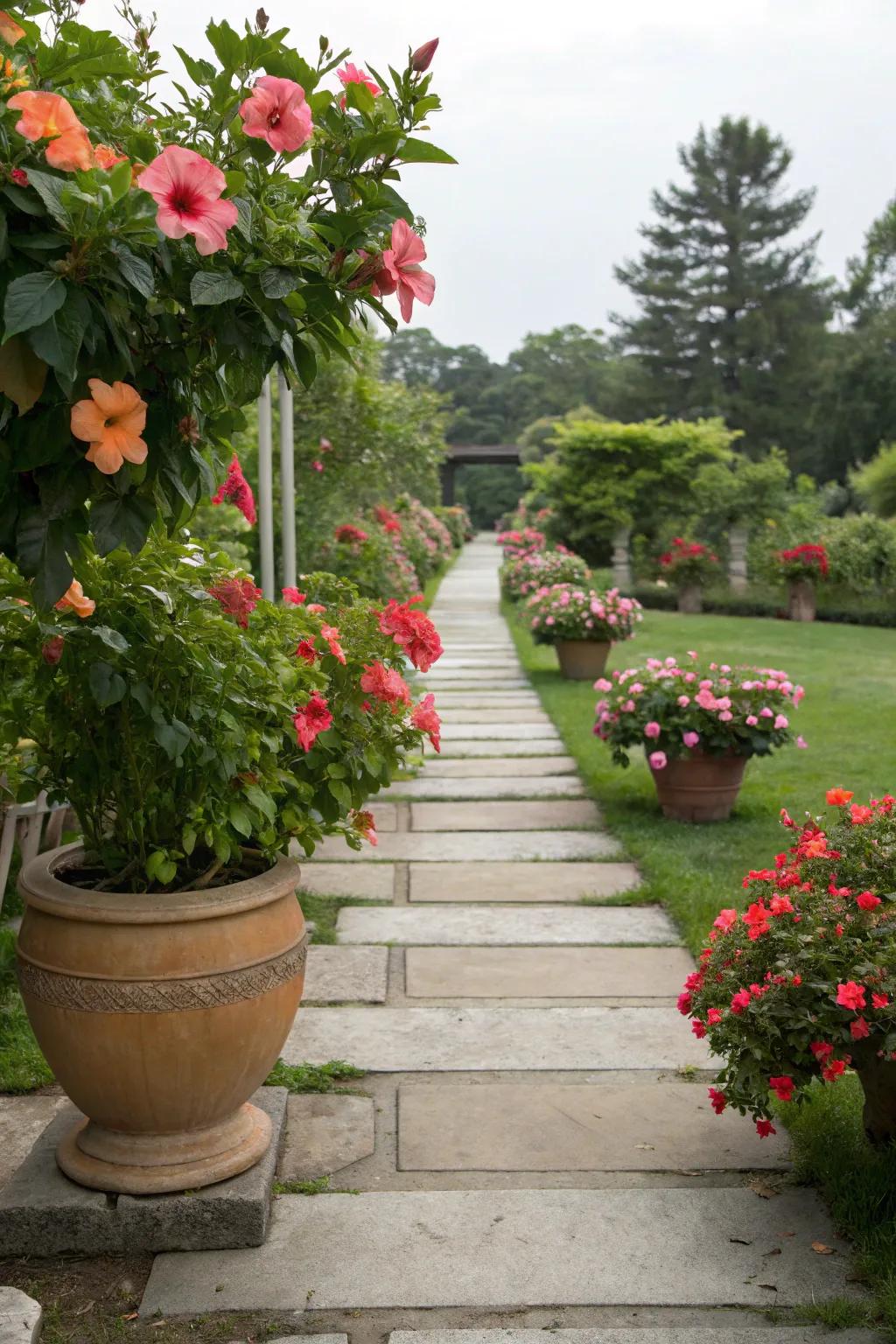 Hibiscus-lined pathway offers a charming invitation to explore.