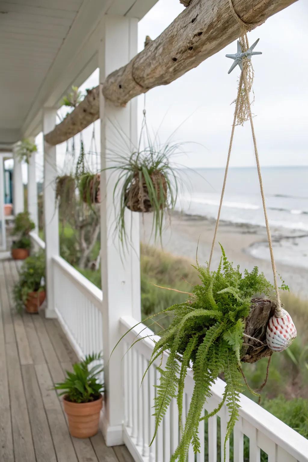 Driftwood hangers bring a touch of the coast to your porch.