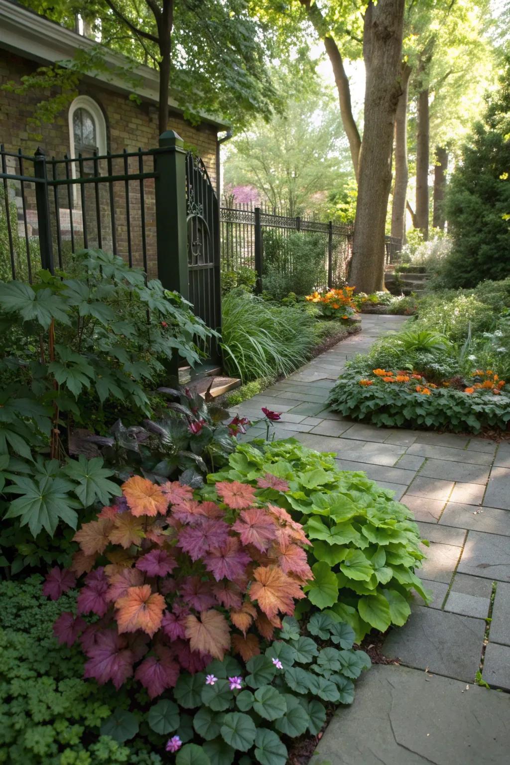 Heuchera offers vibrant leaves as colorful groundcover.