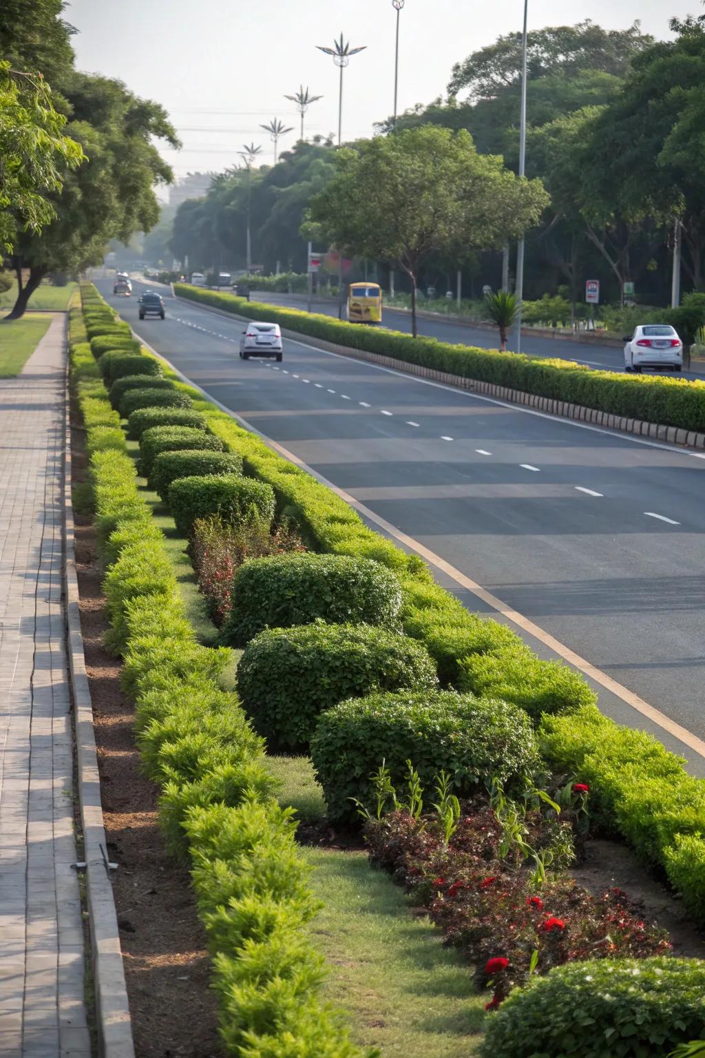 Symmetrical plantings bring elegance to medians.
