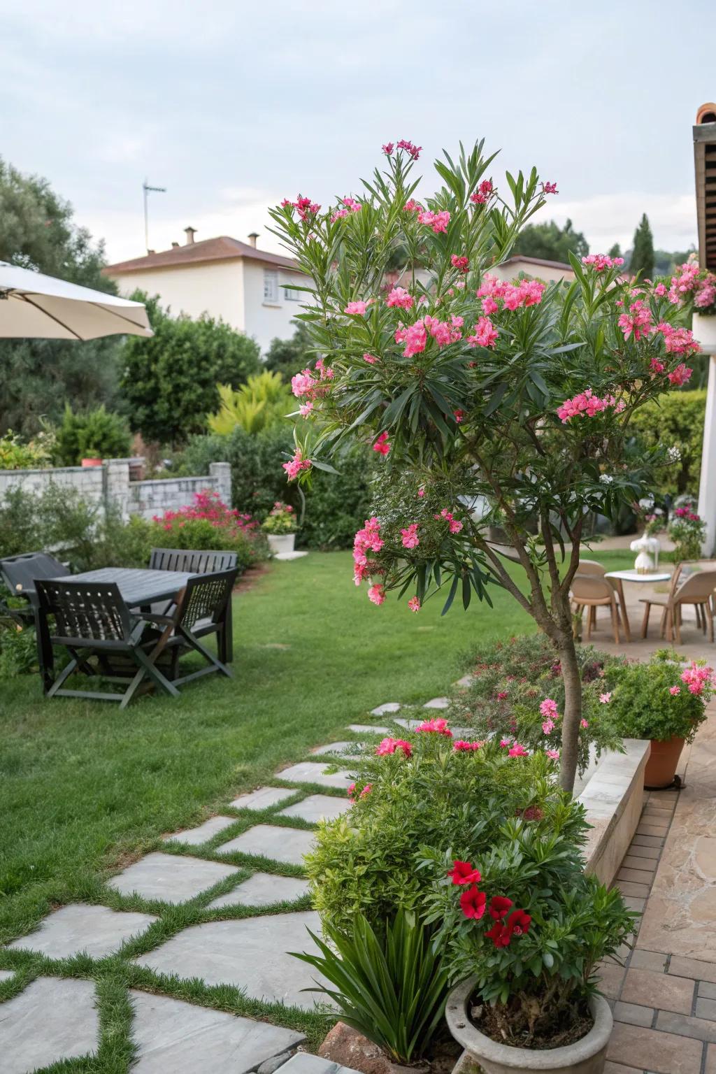 Create an inviting backyard with oleander centerpieces.
