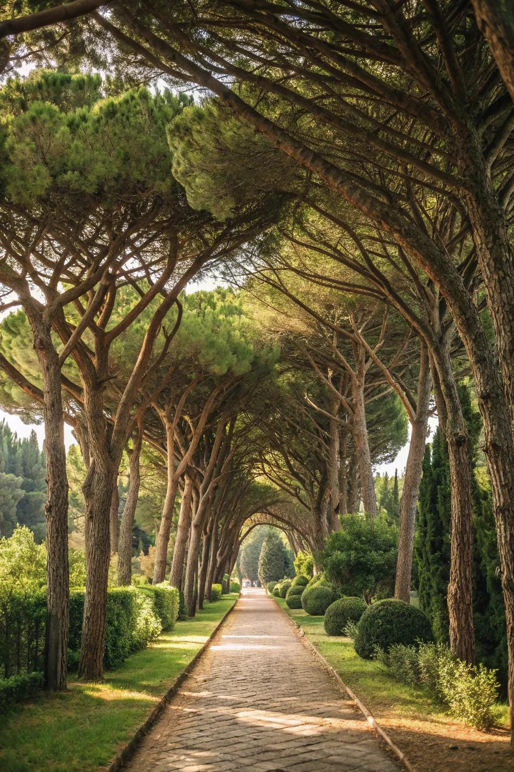 Pine tree arches create a magical garden entrance.