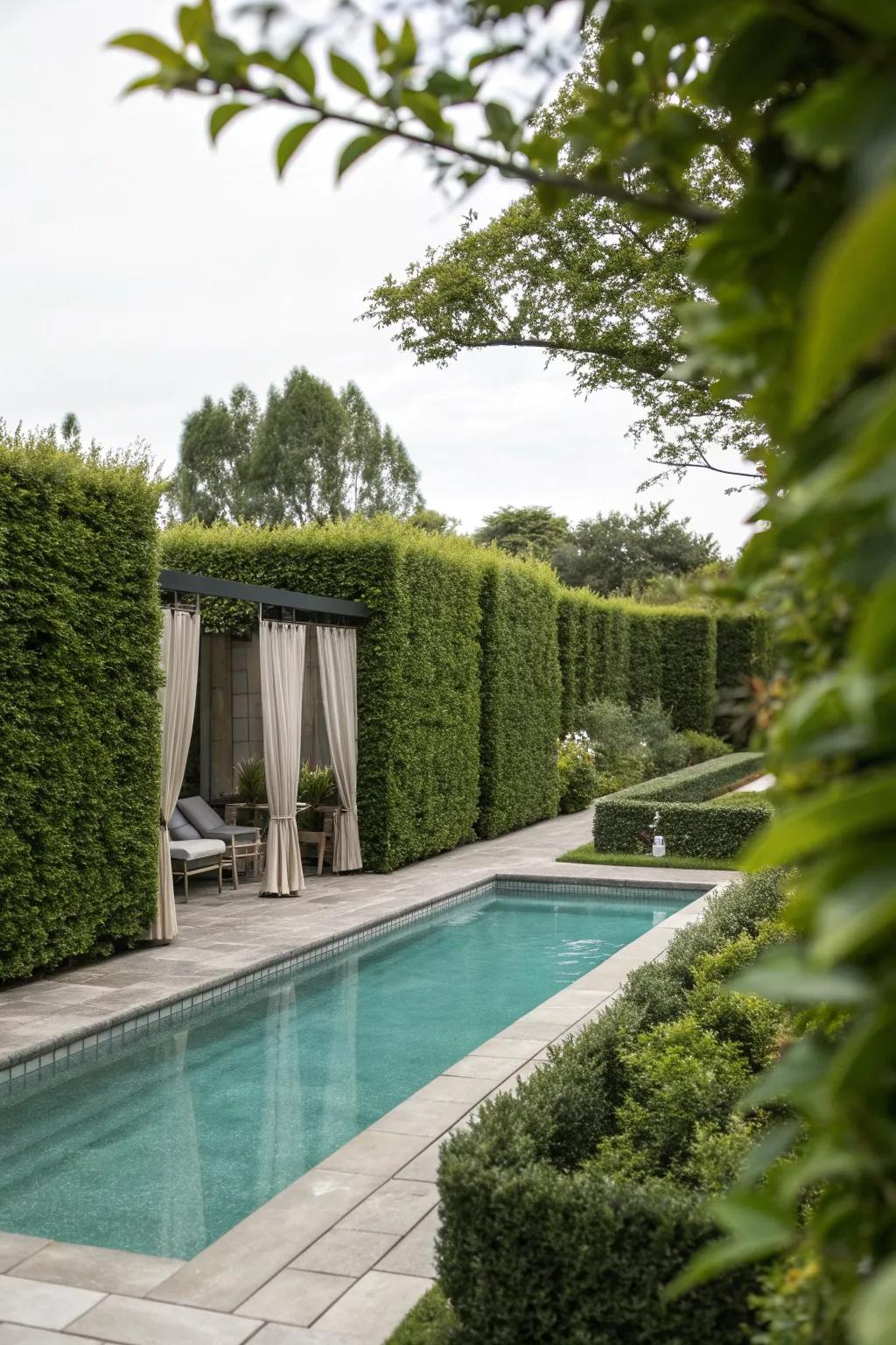 A private pool area offering seclusion with tall hedges and screens.