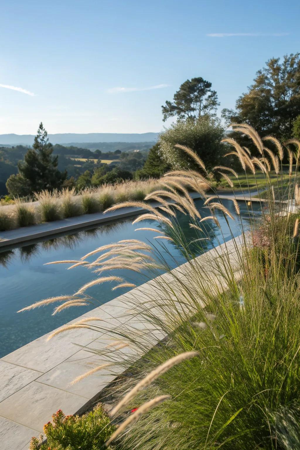 Add graceful movement with ornamental grasses.