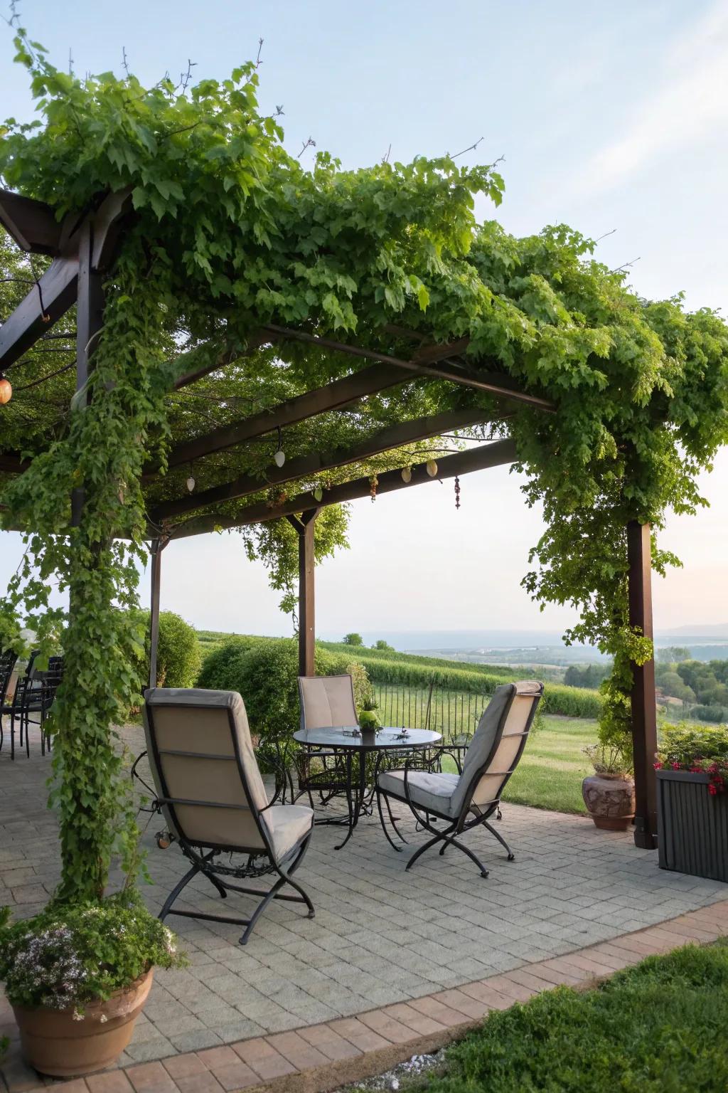 Enjoy flexibility with a portable patio setup under your pergola.