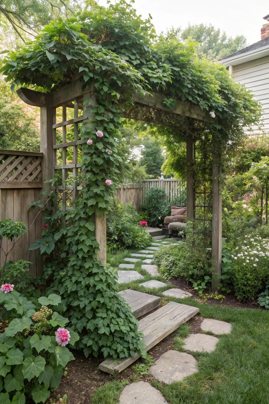 A trellis with climbing plants offers privacy in a small garden.