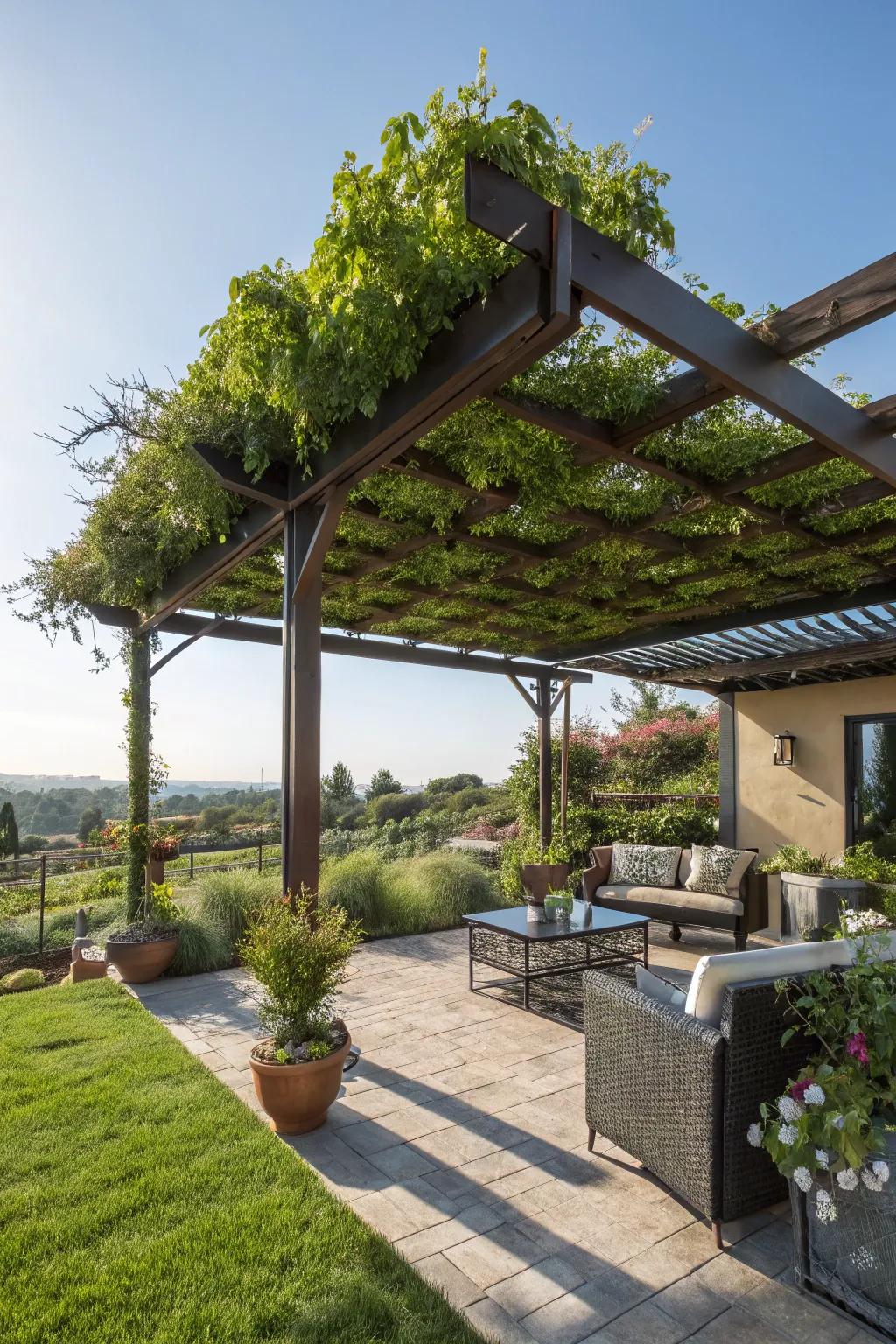 Living roofs offer eco-friendly shade and insulation.