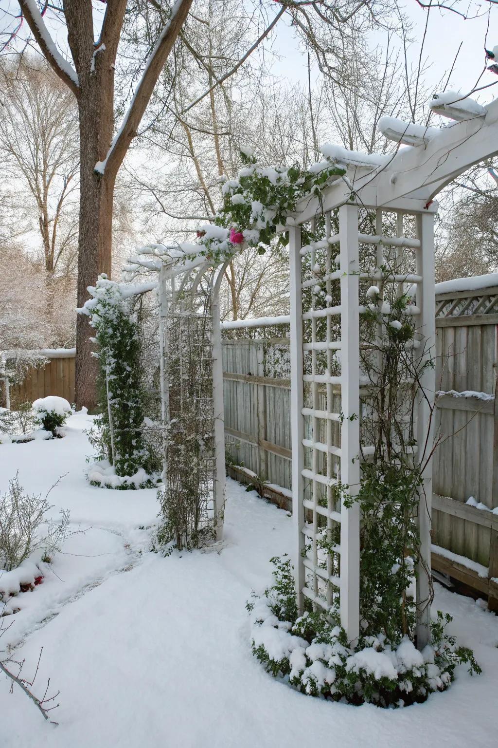 Trellises frame views and support winter-climbing plants.