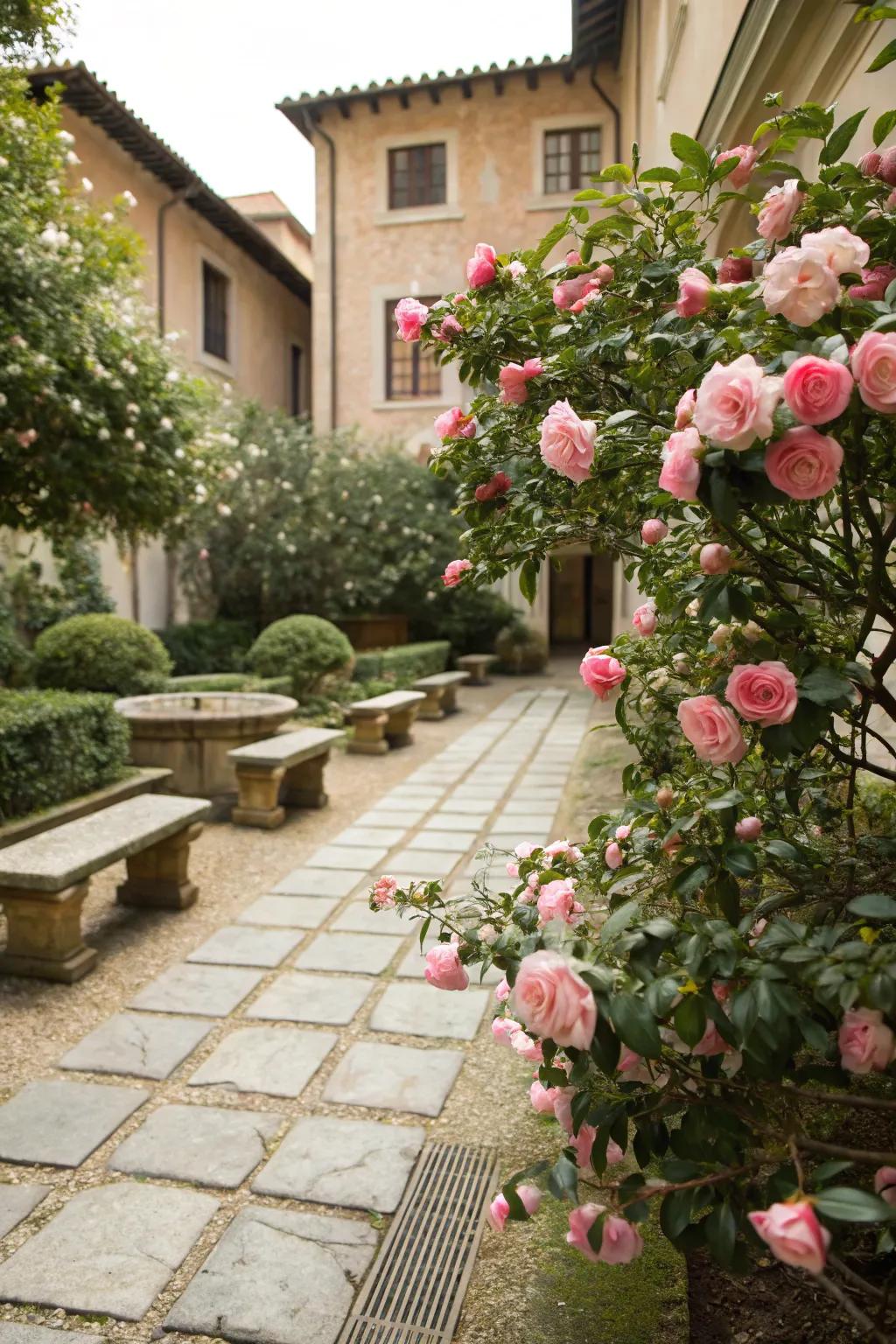 Camellia-centric courtyards offer a serene gathering space.