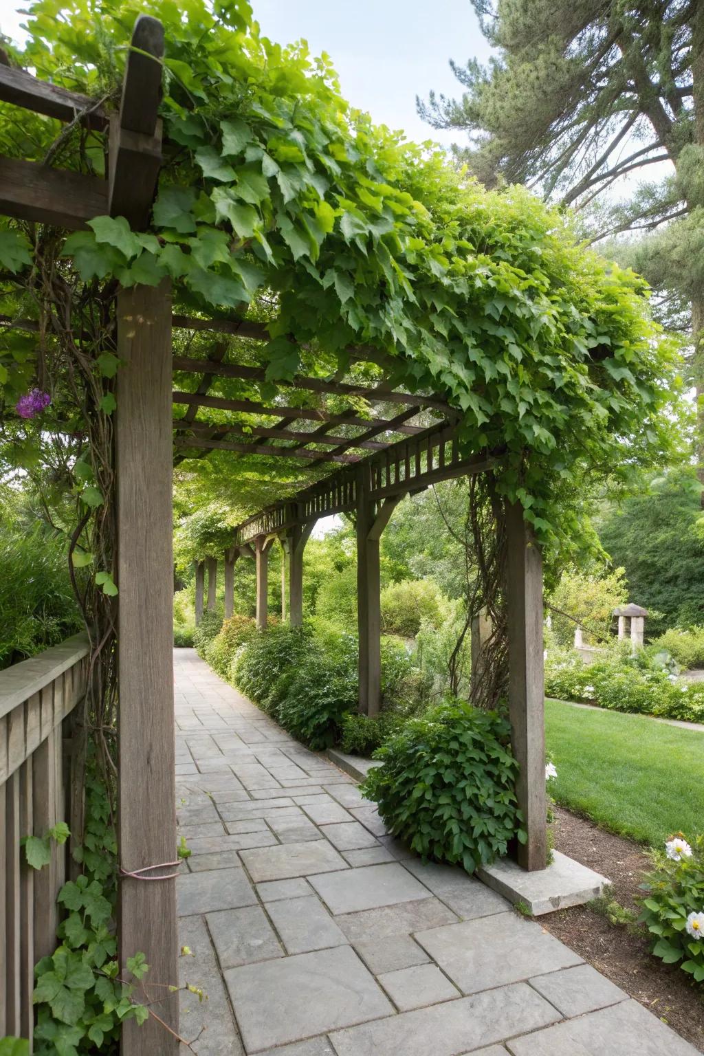 Pergola toppers add elegance