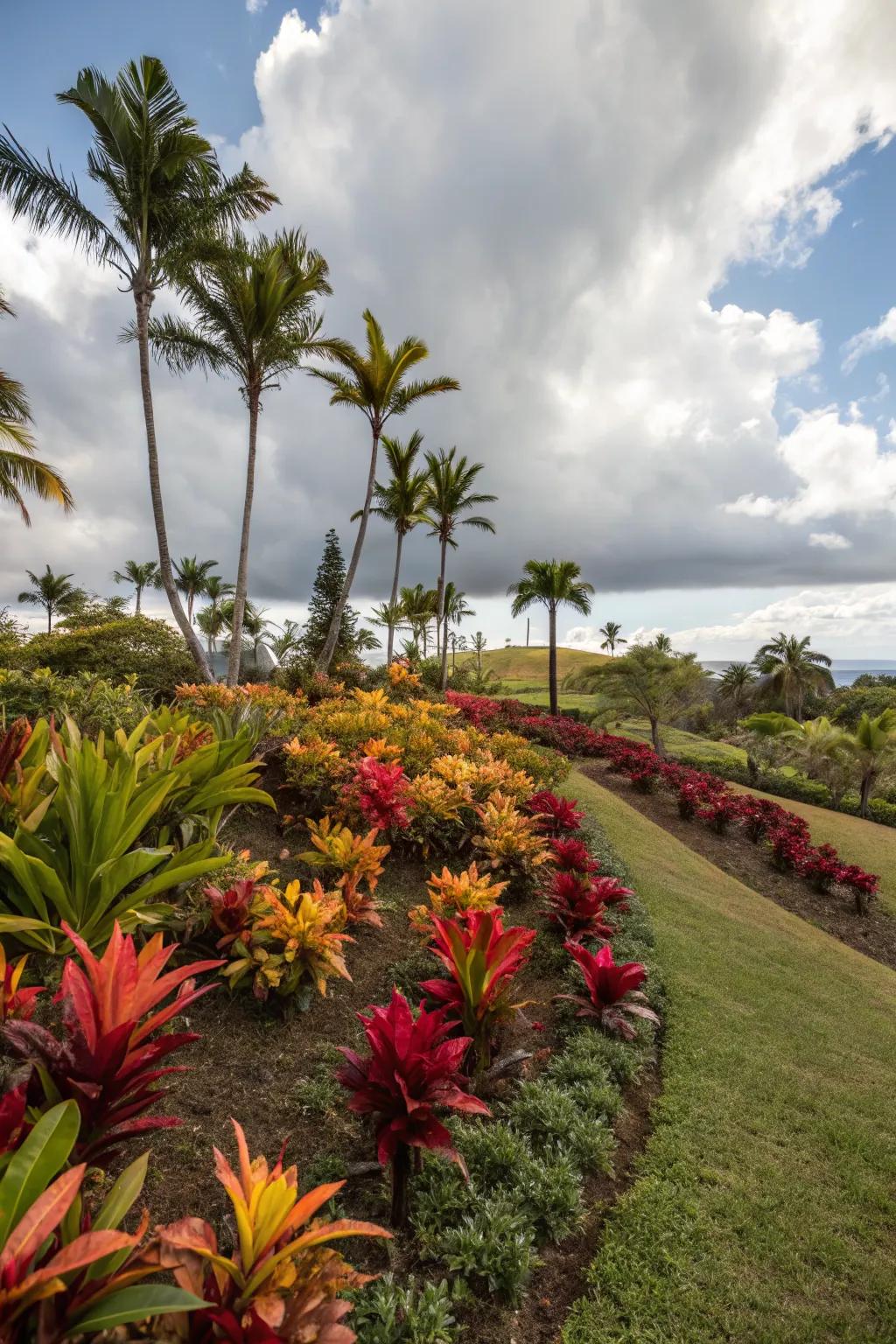 An island flower bed featuring lush tropical plants for an exotic front yard escape.