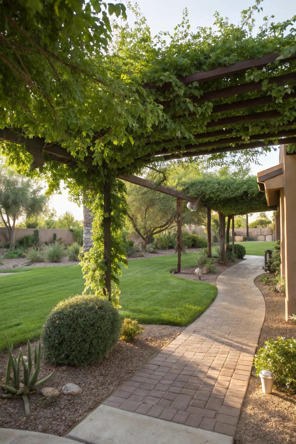 A pergola offers shade and architectural interest.