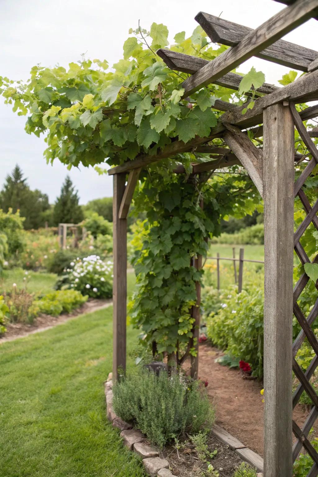 A sustainable trellis crafted from recycled materials, perfect for eco-conscious gardeners.