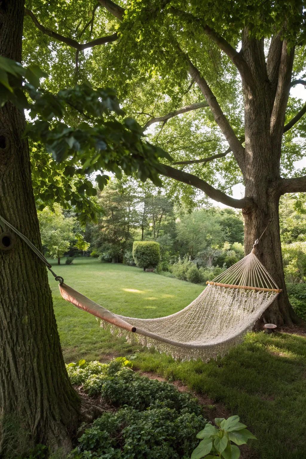 A hammock between trees offers a timeless and natural escape.