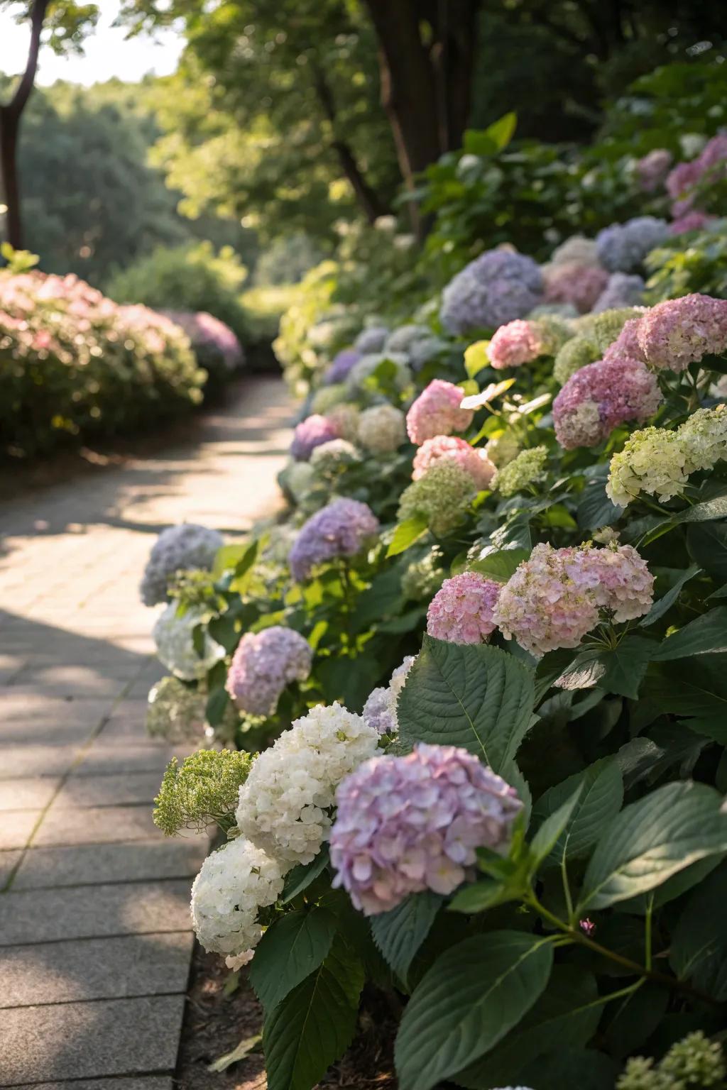 Seasonal plants add dynamic interest to your garden.