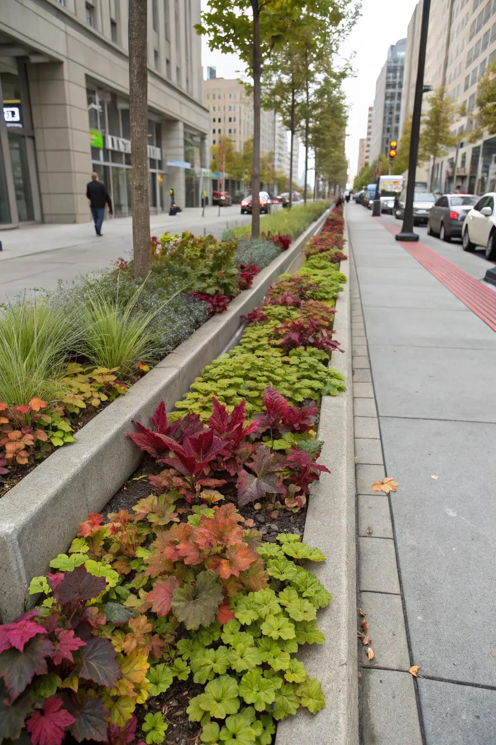 Colorful foliage plants add unexpected vibrancy to your hellstrip.