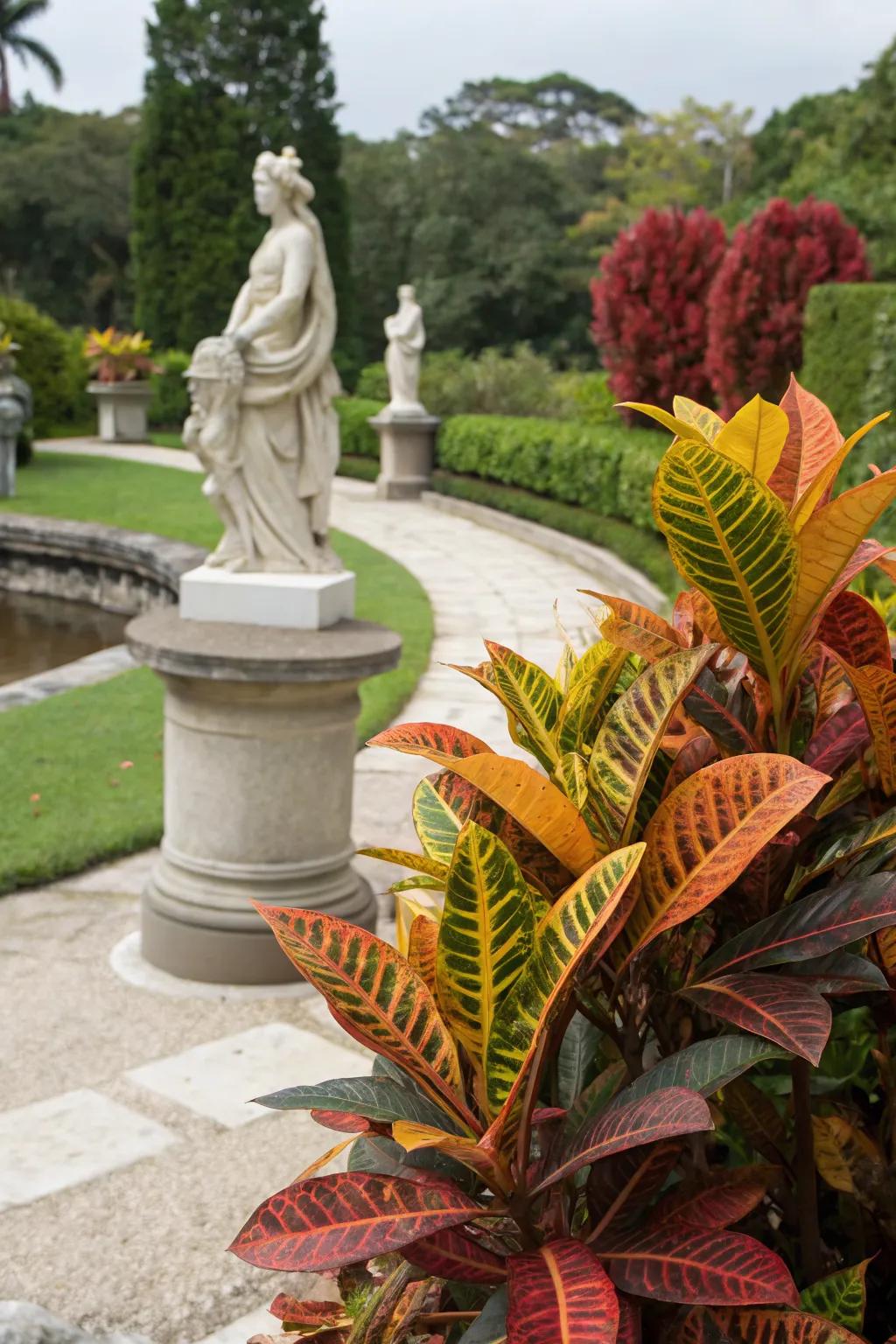 Mammy Crotons paired with garden art for a captivating display.