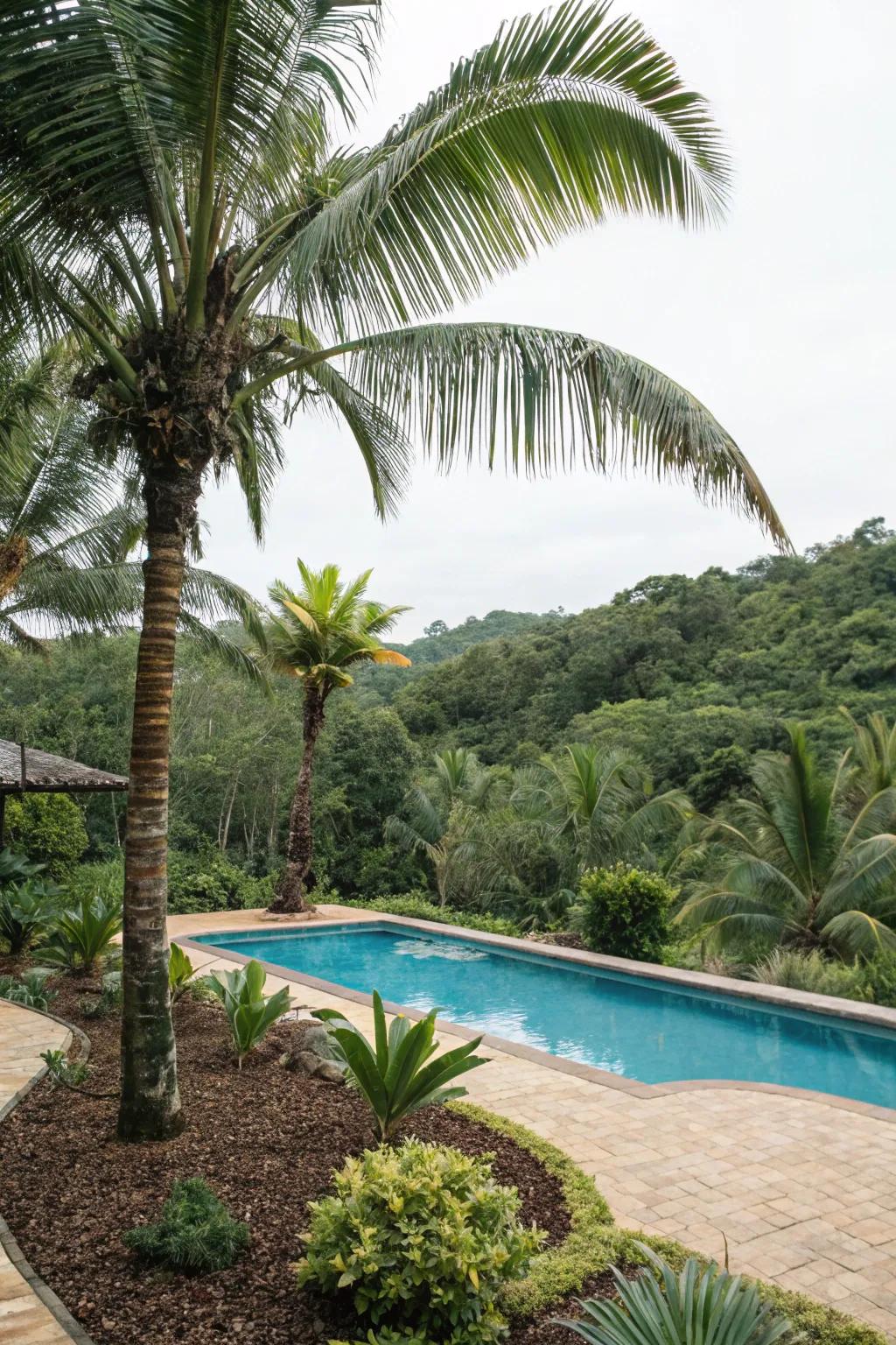 Transform your pool into a tropical paradise with palms and mulch.