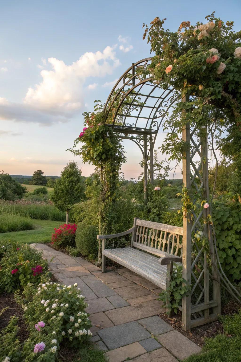 A charming arbor and bench combo, covered in climbing plants.