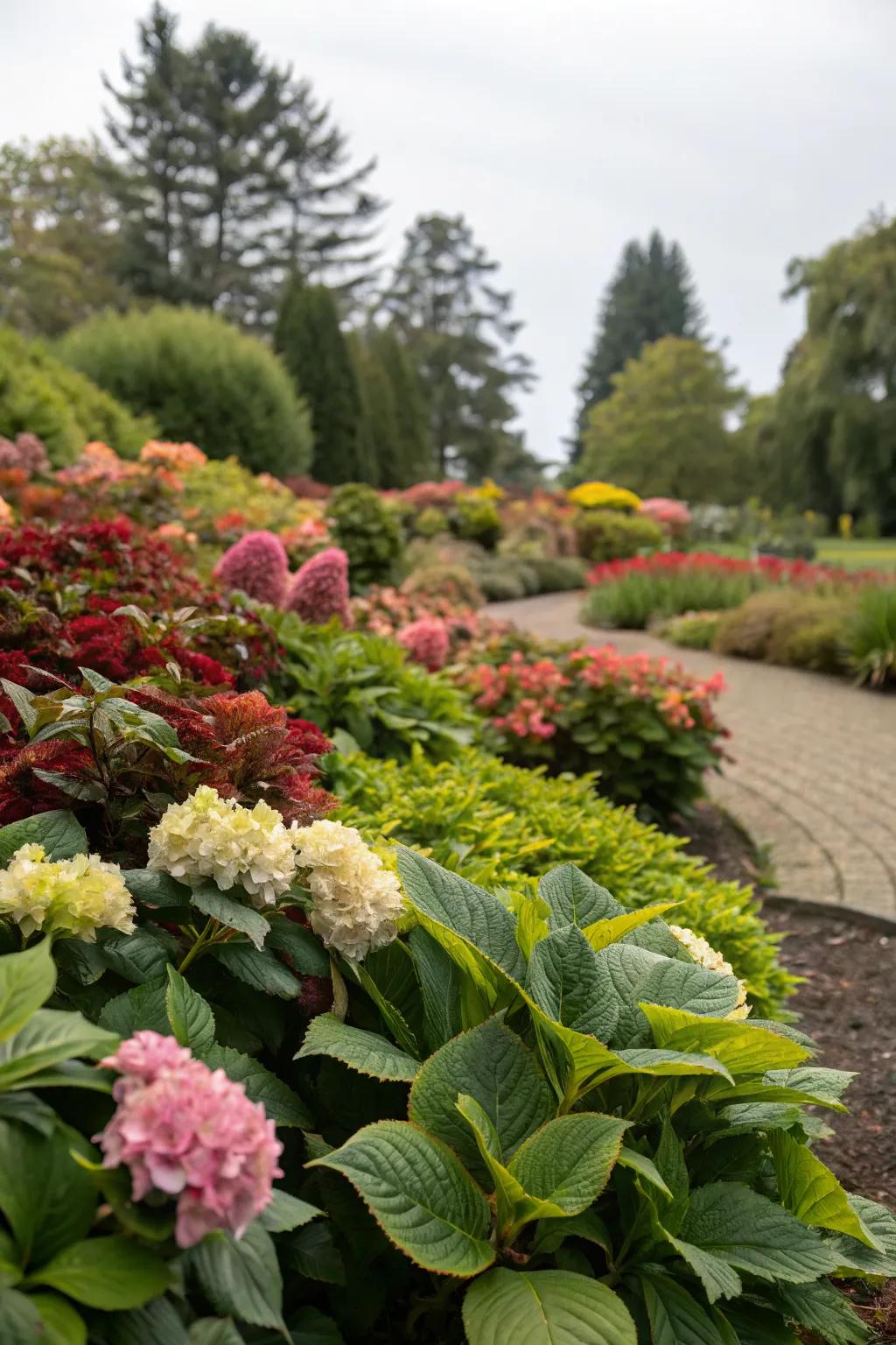 A captivating flower bed focusing on diverse and colorful foliage.