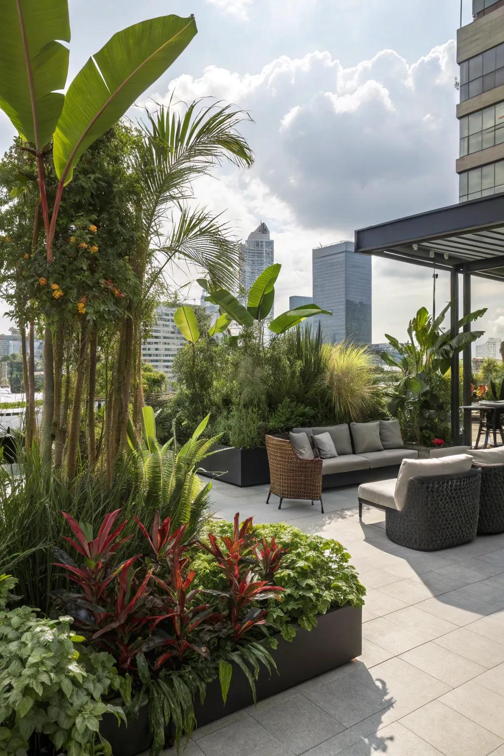 Urban jungle transforms city terraces into lush green oases.
