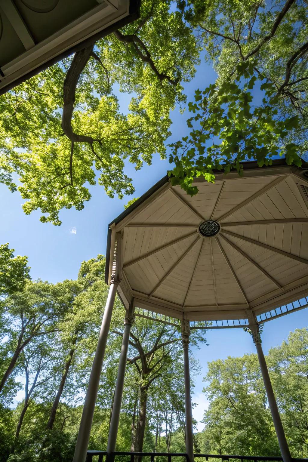 A pavilion ceiling designed to capture stunning outdoor views.
