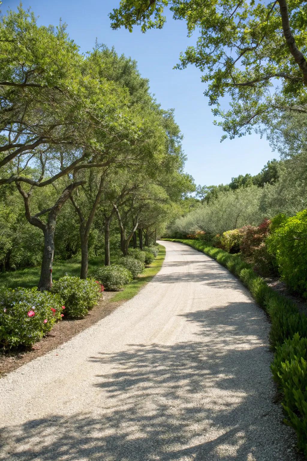 A long winding pea gravel driveway with a scenic path.