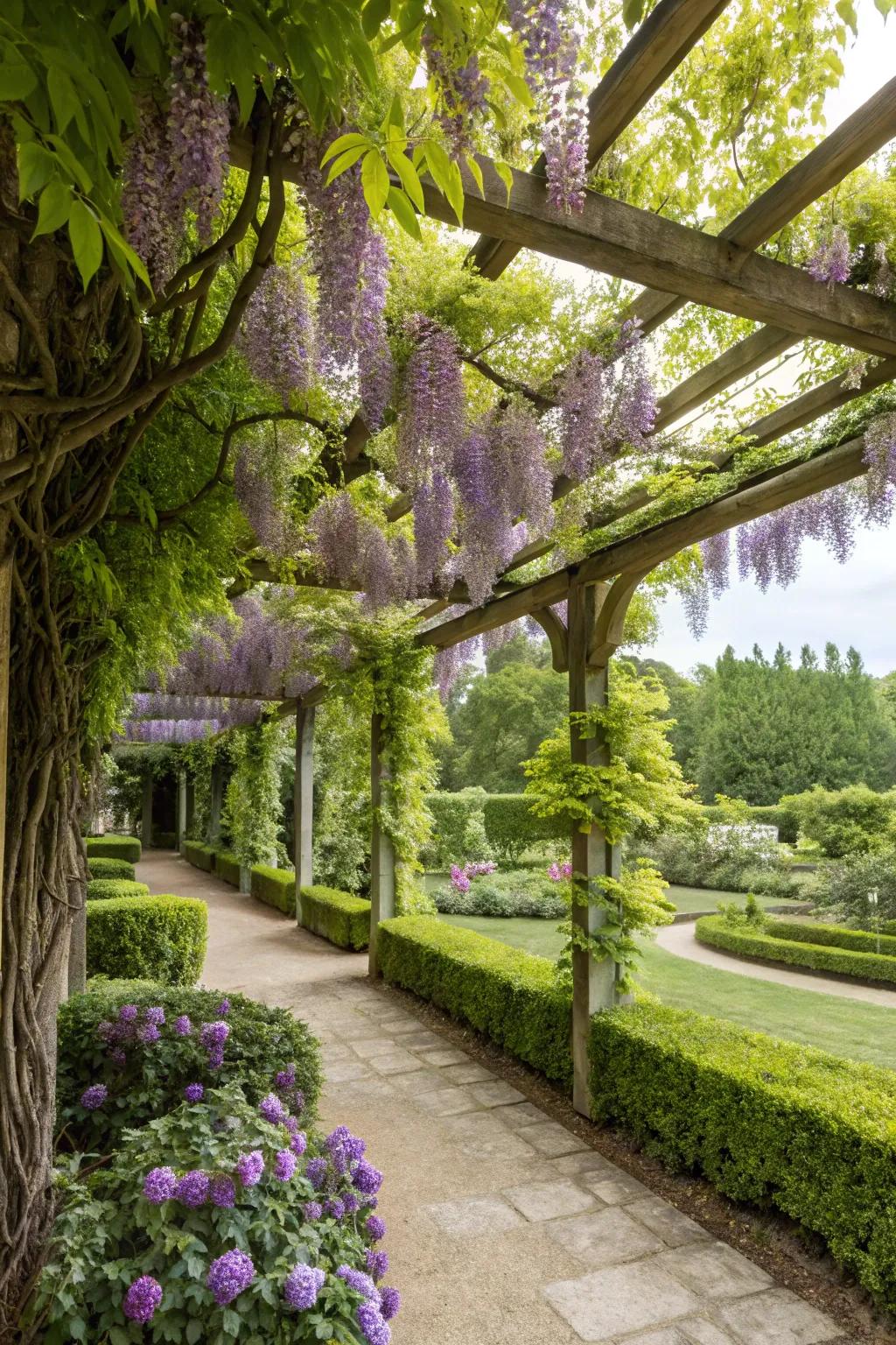 A climbing plant paradise enveloping a pergola greenhouse.