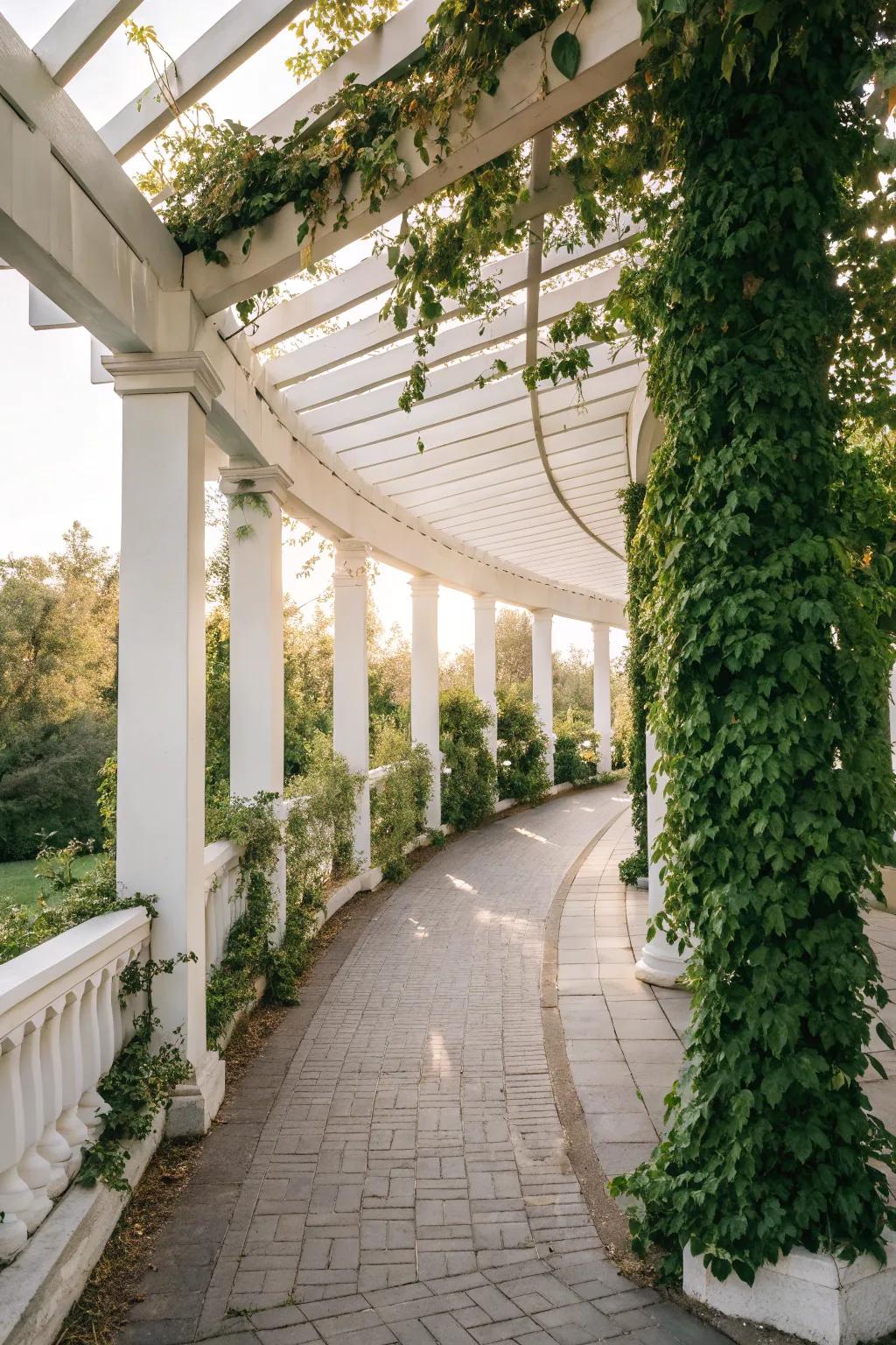 A classic white pergola walkway standing out with vibrant greenery.