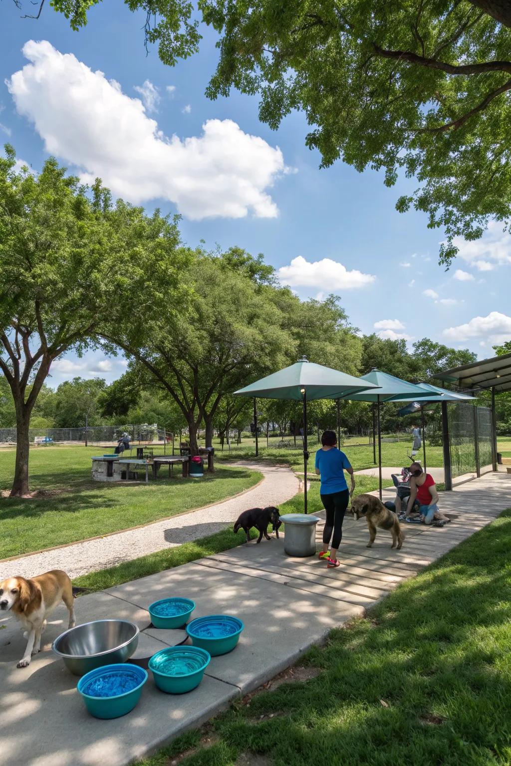 A welcoming picnic zone for furry companions.