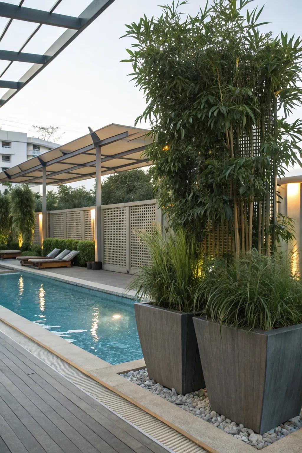 Planters with tall plants offer flexible privacy options.